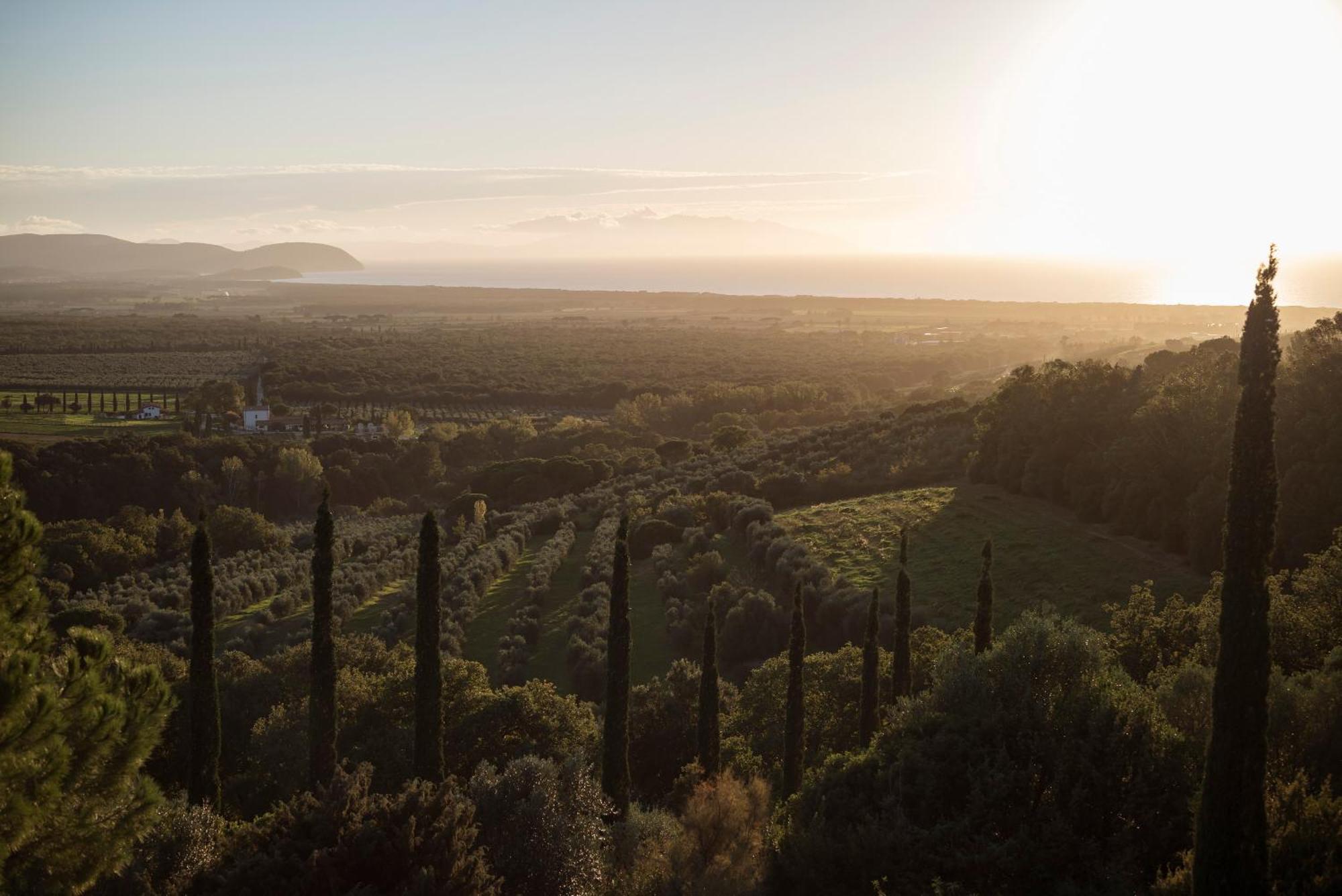 Boutique Hotel Poggio Ai Santi - Adults Only San Vincenzo Buitenkant foto