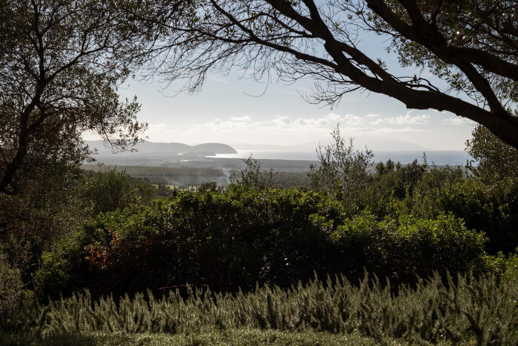 Boutique Hotel Poggio Ai Santi - Adults Only San Vincenzo Buitenkant foto
