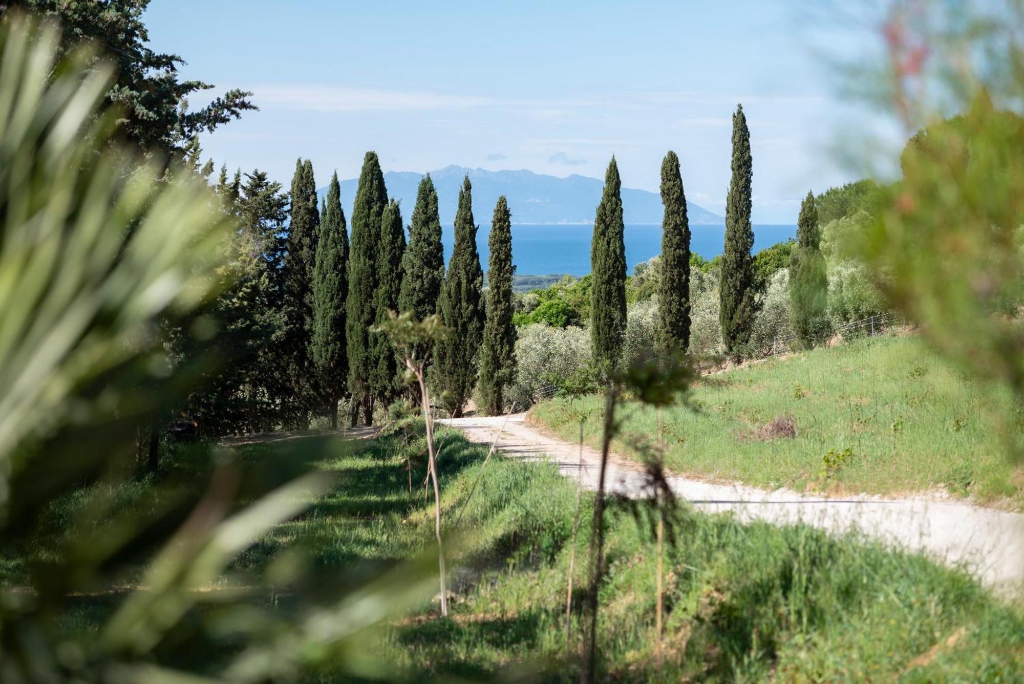 Boutique Hotel Poggio Ai Santi - Adults Only San Vincenzo Buitenkant foto
